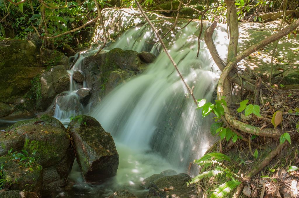 Rain Forest Inn Ringlet Bagian luar foto