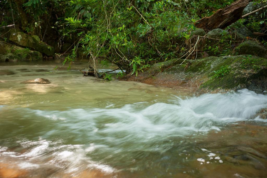 Rain Forest Inn Ringlet Bagian luar foto