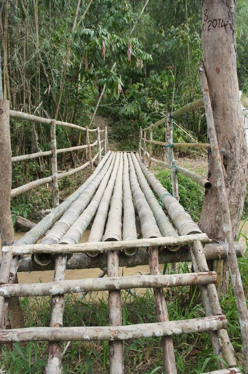 Rain Forest Inn Ringlet Bagian luar foto