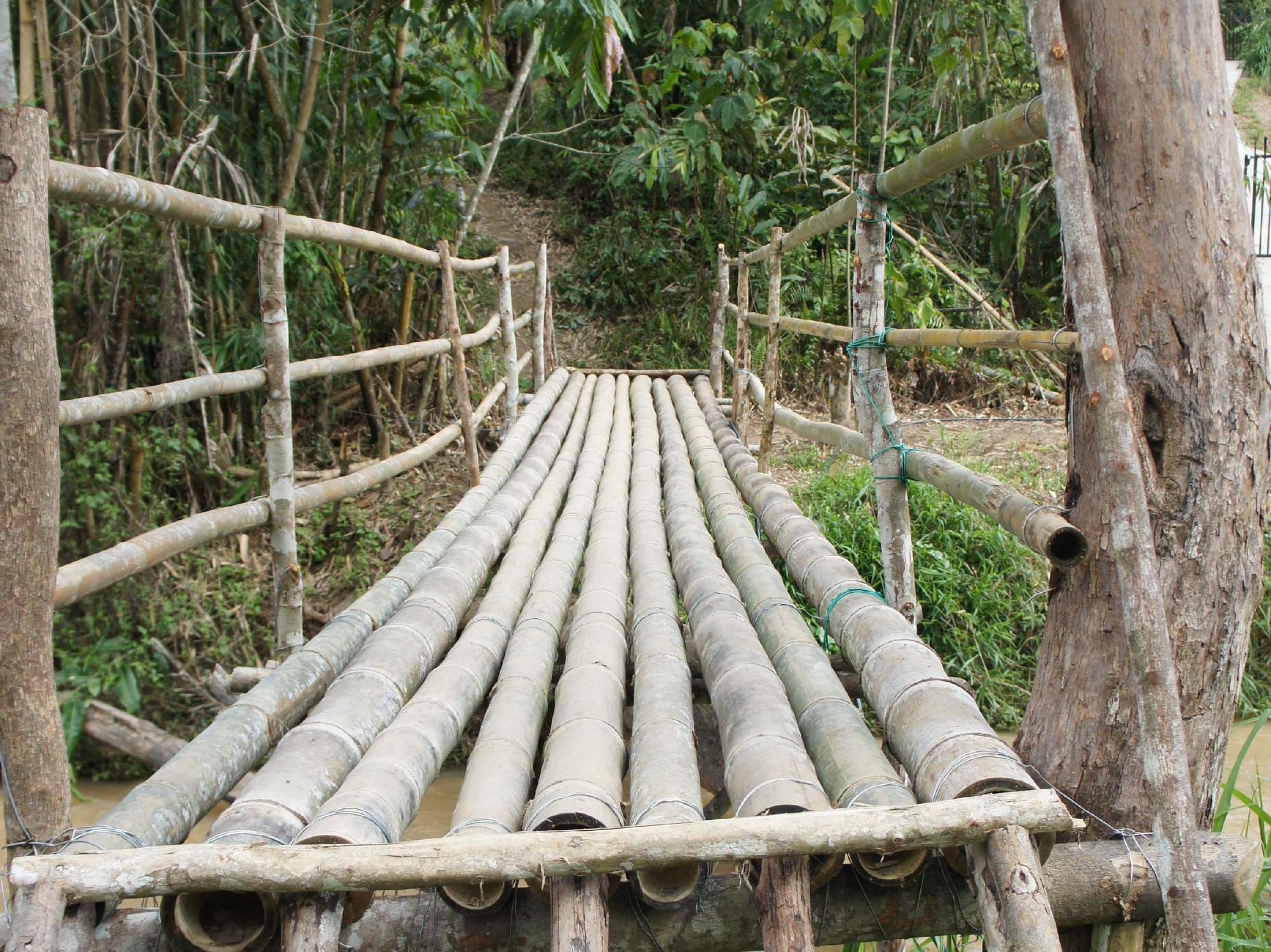 Rain Forest Inn Ringlet Bagian luar foto