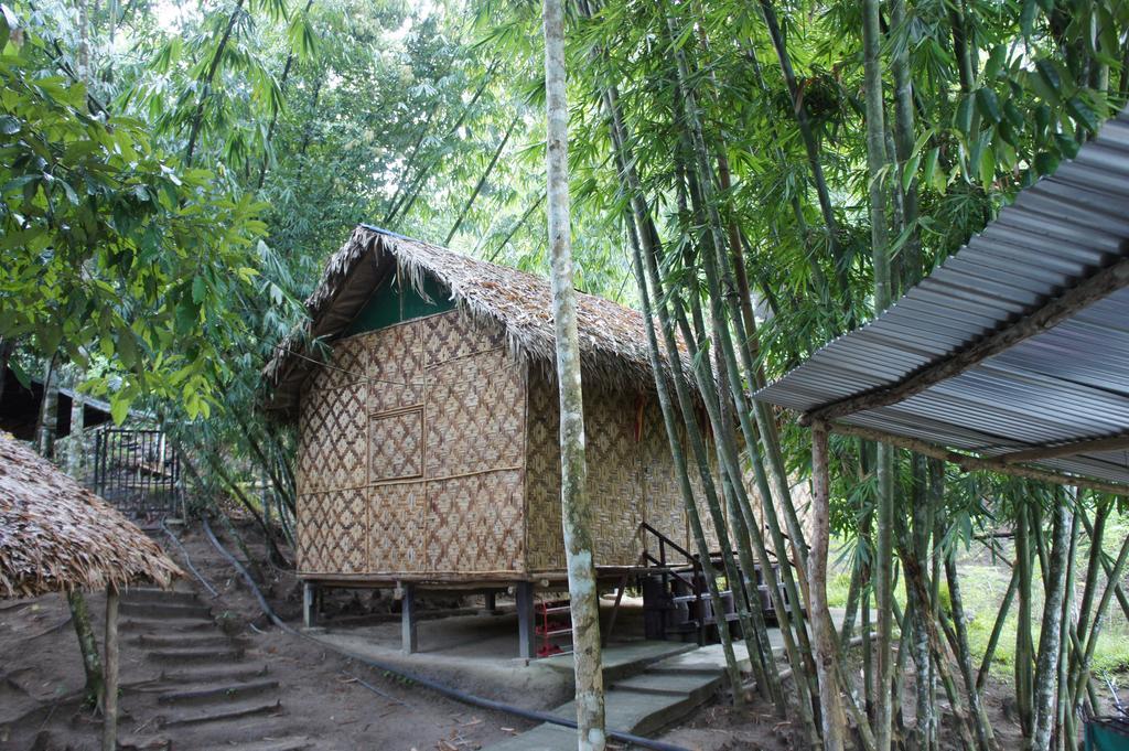 Rain Forest Inn Ringlet Bagian luar foto